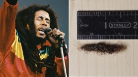 bob marley dreadlock uk jc auctions $33000 top of pops 1978